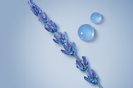 GA_ADGH_SUBPAGE_464X309 ingredient 2