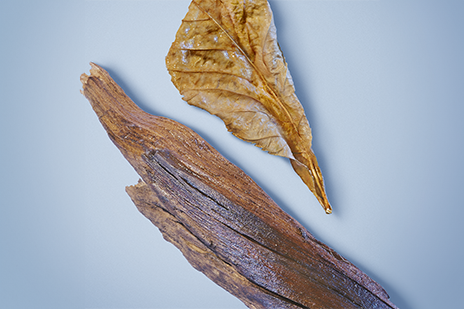 GA_ADGH_SUBPAGE_464X309 ingredient 3