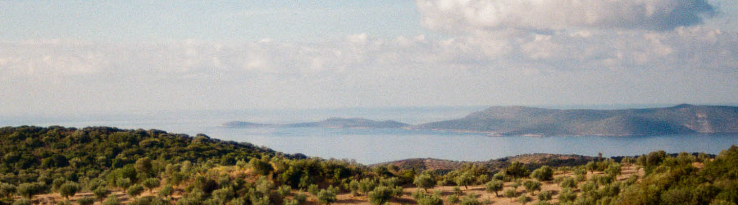 Head Banner