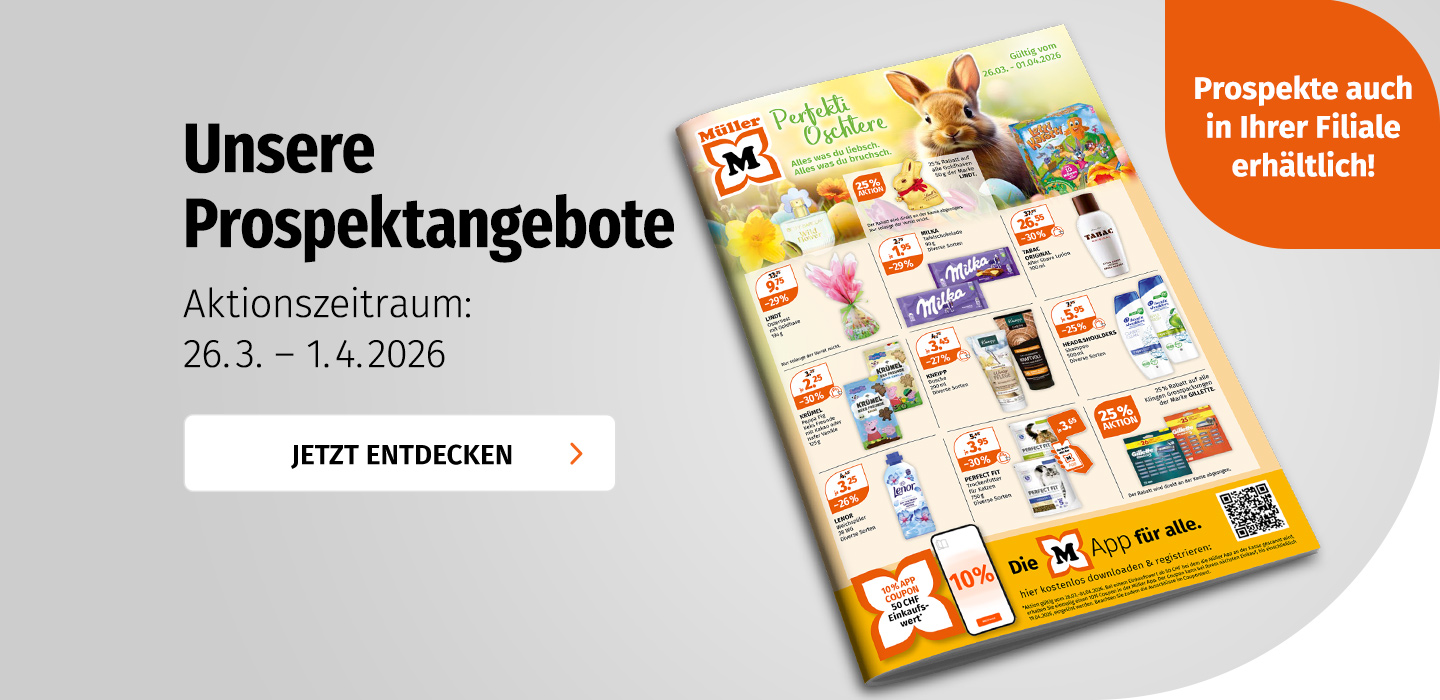 Prospekt Angebote D17