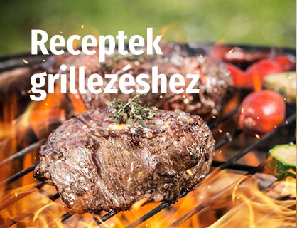 hu-grillrezepte-inspiration-418x320-9591