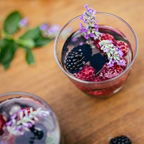 inspriation-sommergetraenk-rezept-lavendel-beeren-shrub-291x291-5175
