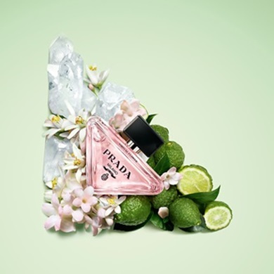 prada-24-paradoxe-virtual-flower-edp-ingredients-visuals-trio-ingredients-solo-triangle-with-pack-1x1-3614274000597-97419-0