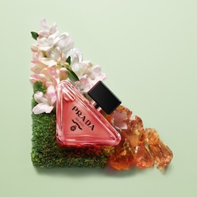 prada-paradoxe-intense-trio-ingredients-with-bottle-1x1-rgb-3614273961707-97420-0