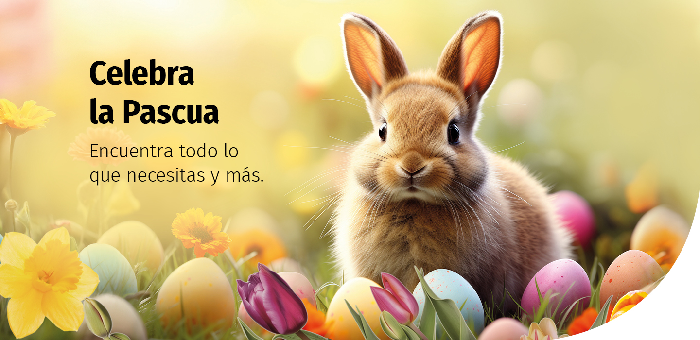 Ostern_2025_Website_Banner_1440x700px_ES.jpg