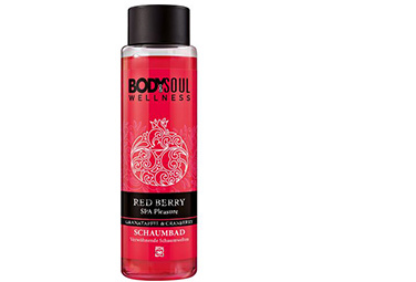 hautpflege-im-winter-body-and-soul-wellness-inspiration-red-berry-376x255-19196