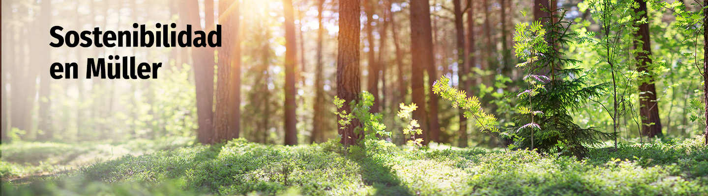 20250200_Banner_Nachhaltigkeit_1440x400px_ES