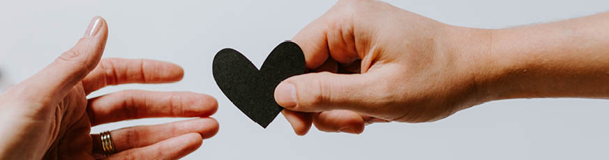 lifestlye_Danke_header_873x230-58503-2