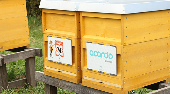 bienenprojekt-bienenstoecke-mxa-575x320px-66397