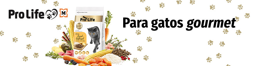 es-eigenmarken-pro-life-katze-873x230-37228
