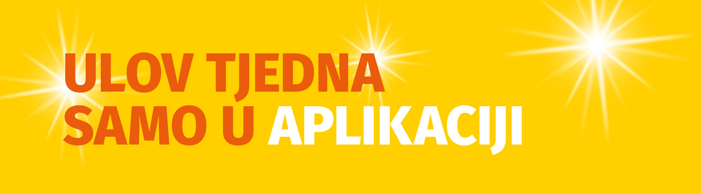 20260451_Banner_Aktionsseite_App-Highlights_HR_1440x400px_Header_2-zlg