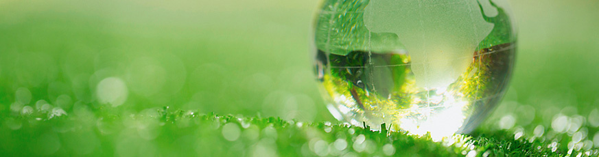 20241023-banner-earth-day-873x230-002-93813-0