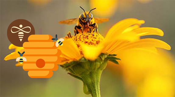 bienenprojekt-lifestyle-banner-575x320px-78154-0