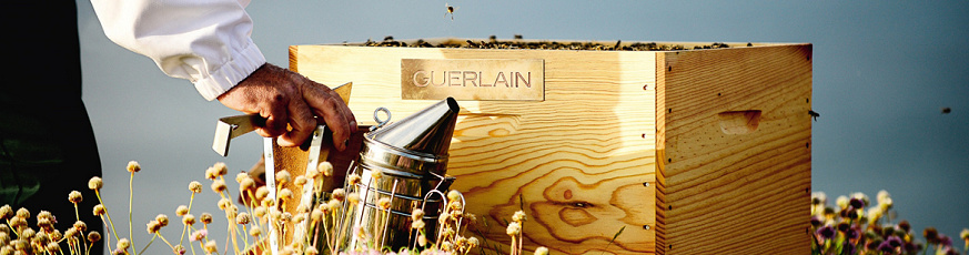guerlain-beeday-banner-inspiracija-hr-873x230px-53168