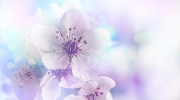 inspiration-trendfarbe-juni-blume-6251