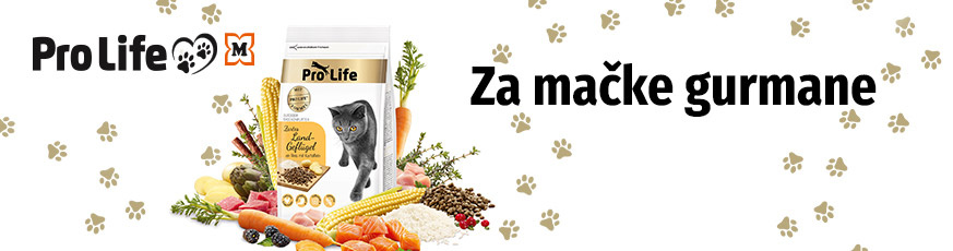 hr-eigenmarken-pro-life-katze-873x230-37230