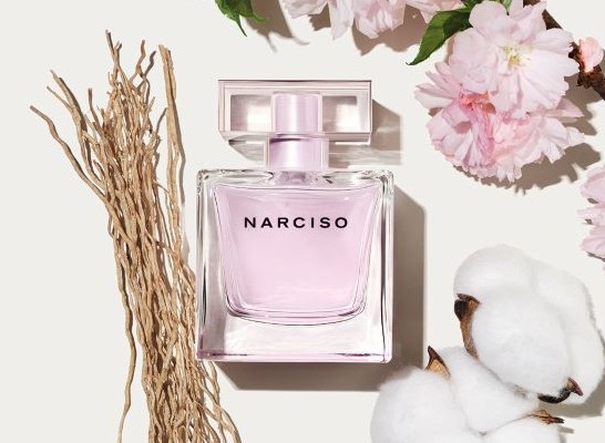 NN_RADIANTE_2025_INGREDIENT VISUAL_CLOVE BLOSSOM WHITE VETIVER COTTON FLOWER_CMJN_Muller