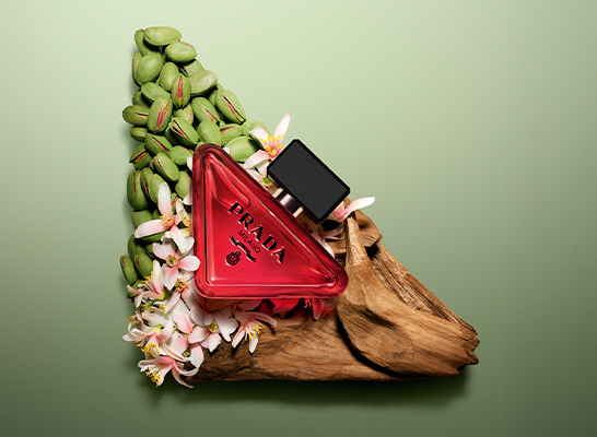 Muller-HR-SI_PARADOXE_RADICAL_PARADIGME_LP_546x400px_2