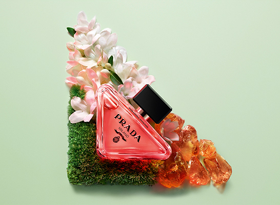 prada paradox 3