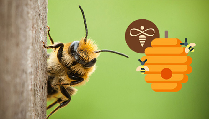 beefuture