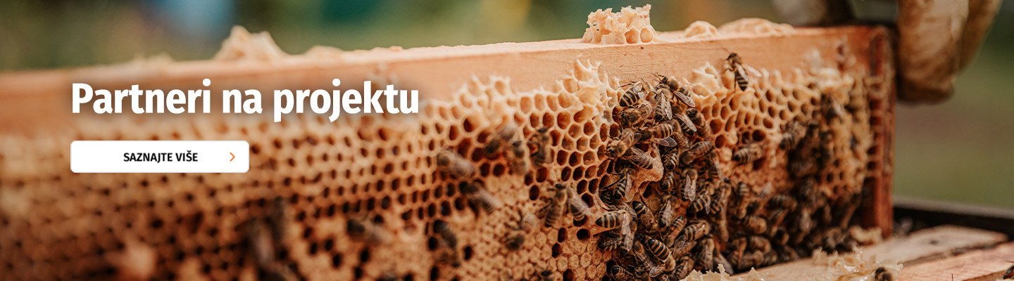 partneri na projektu