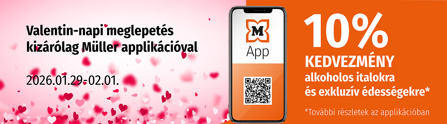 Surprise_website-ohneCTA_HU