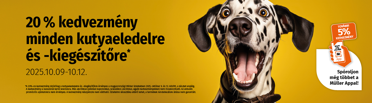Welthundetag_2025_Website-Banner_1440x400px_HU