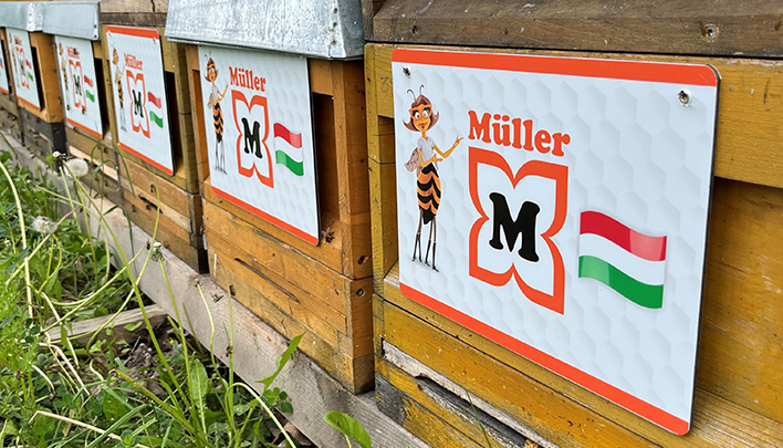 Bienen2_708x405