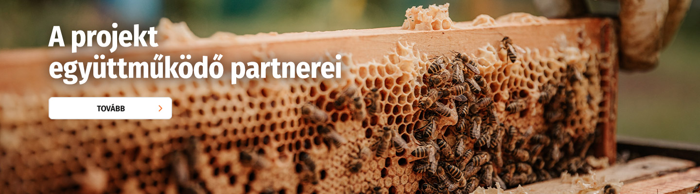 20250851_Banner_Weltbienentag_1440x400px_Kooperationspartner_HU