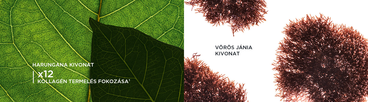 total-eye-lift-aloldal-1440x400_0003_Group 2