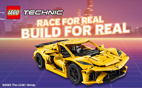 LEGO Technic Race for real, build for real