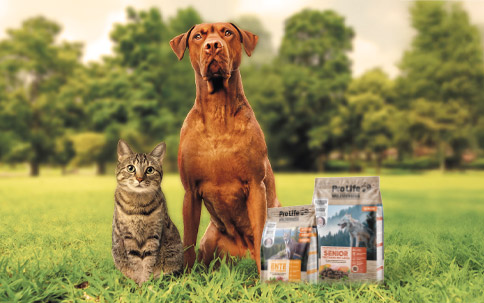 Pro Life Wilderness: Zurück zum Ursprung. Aus Liebe zum Tier.