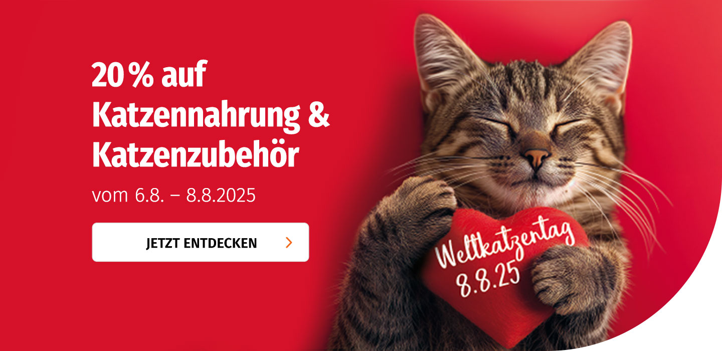 20% zum Weltkatzentag