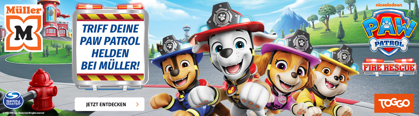Paw Patrol CTA