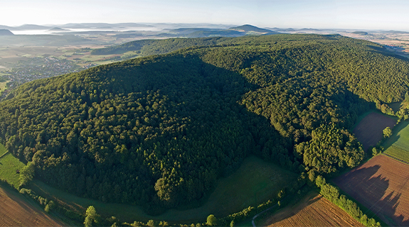 NABU-Müller-Visual-NABU_575x320-ohne-Logo-(1)-58314-1