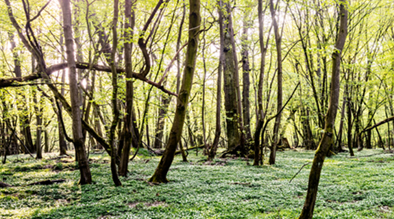 NABU-Müller-Visual-Was-kannst-du-tun_575x320-58316-1