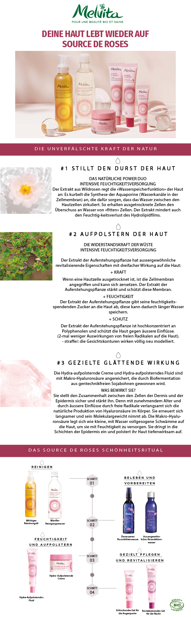 Newsletter-stand-alone-OK-65472-0