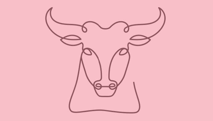 Lifestyle_Stier_2_25_708x405px.jpg