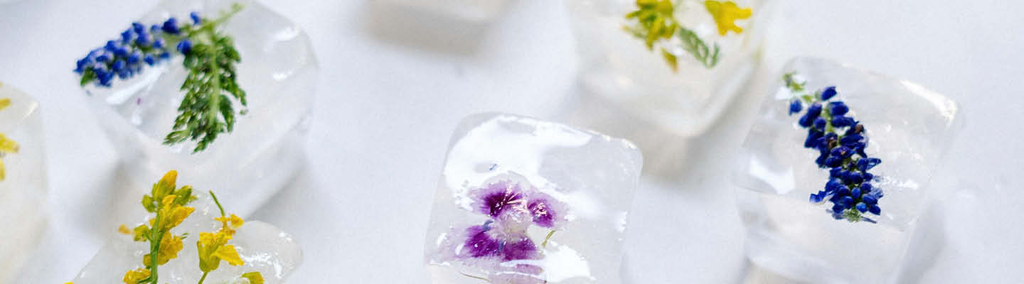Lifestyle_1440x400_Eiswuerfel_mit_Blueten_4_25-1440x400.jpg