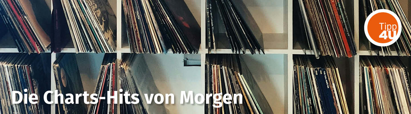 Verschiedene Platten im Regal