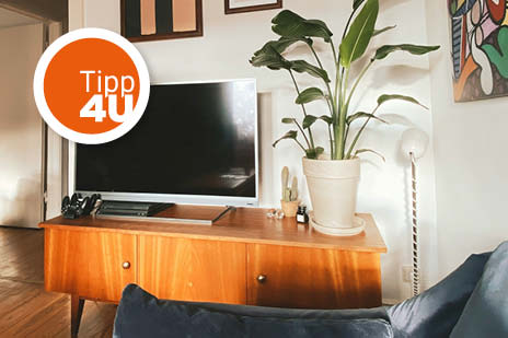 Fernseher, daneben Topfpflanze