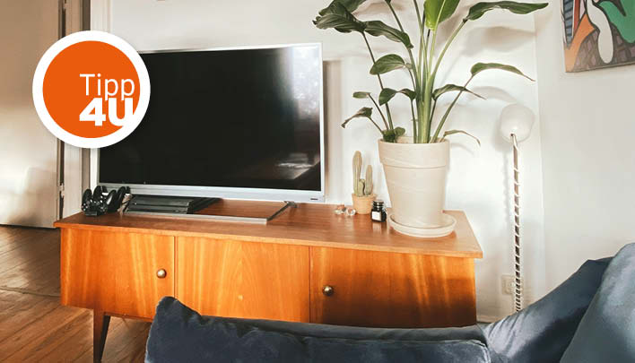 Fernseher, daneben Topfpflanze