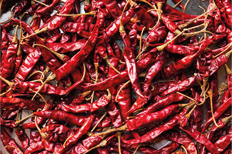 Getrockente Chilischoten