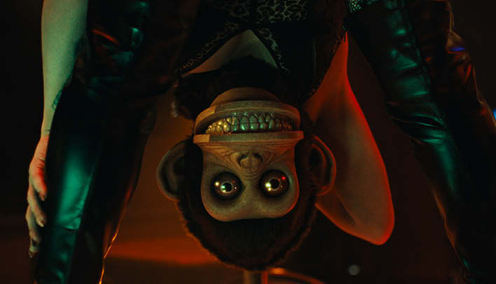 Blog_708x405_erleben_DVD tipp4u_7