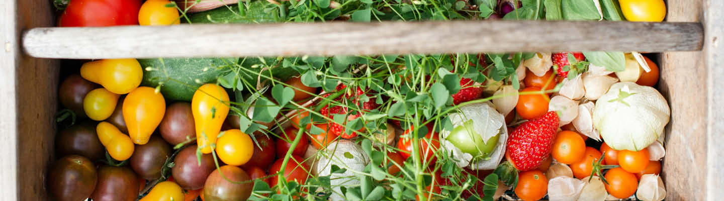 Lifestyle_Gemuesekiste_Holz_2_25_1440x400px.jpg