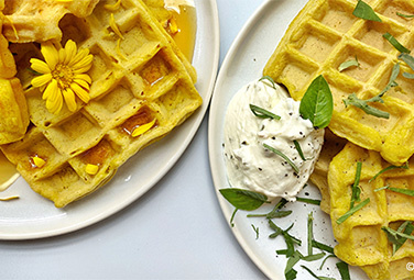 kuerbiswaffeln-376x255px-84829-0