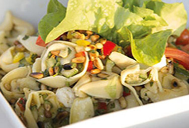 tortellinisalat-grillrezept-inspiration-376x255-24012