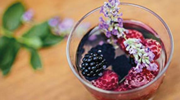 inspriation-sommercocktail-lavendel-beeren-shrub-575x320-5208