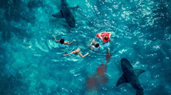 heimkino-highlights-november-2024-somethinginthewater-bild-lifestyle-575x320-101814-0