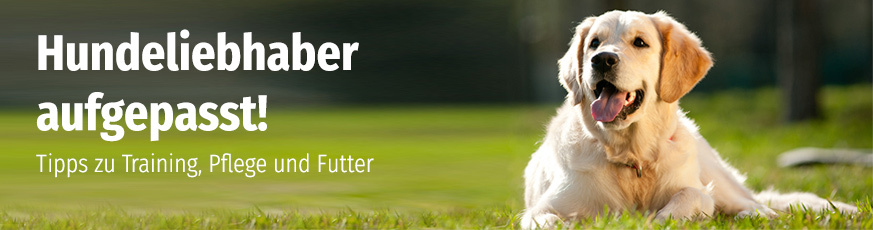 hunde-inspiration-873x230-23634-1-25407